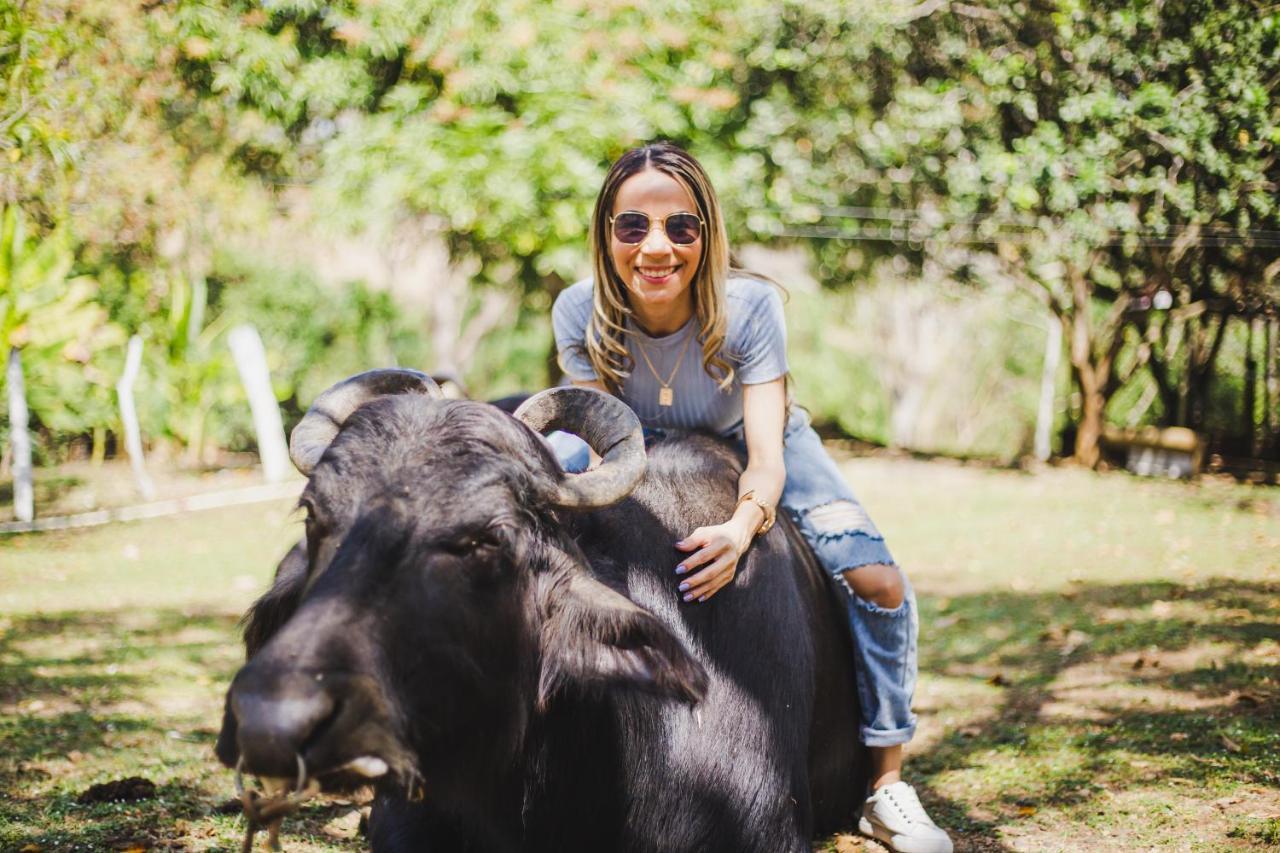 Eco Hotel Villa Martha Turbaco Ngoại thất bức ảnh